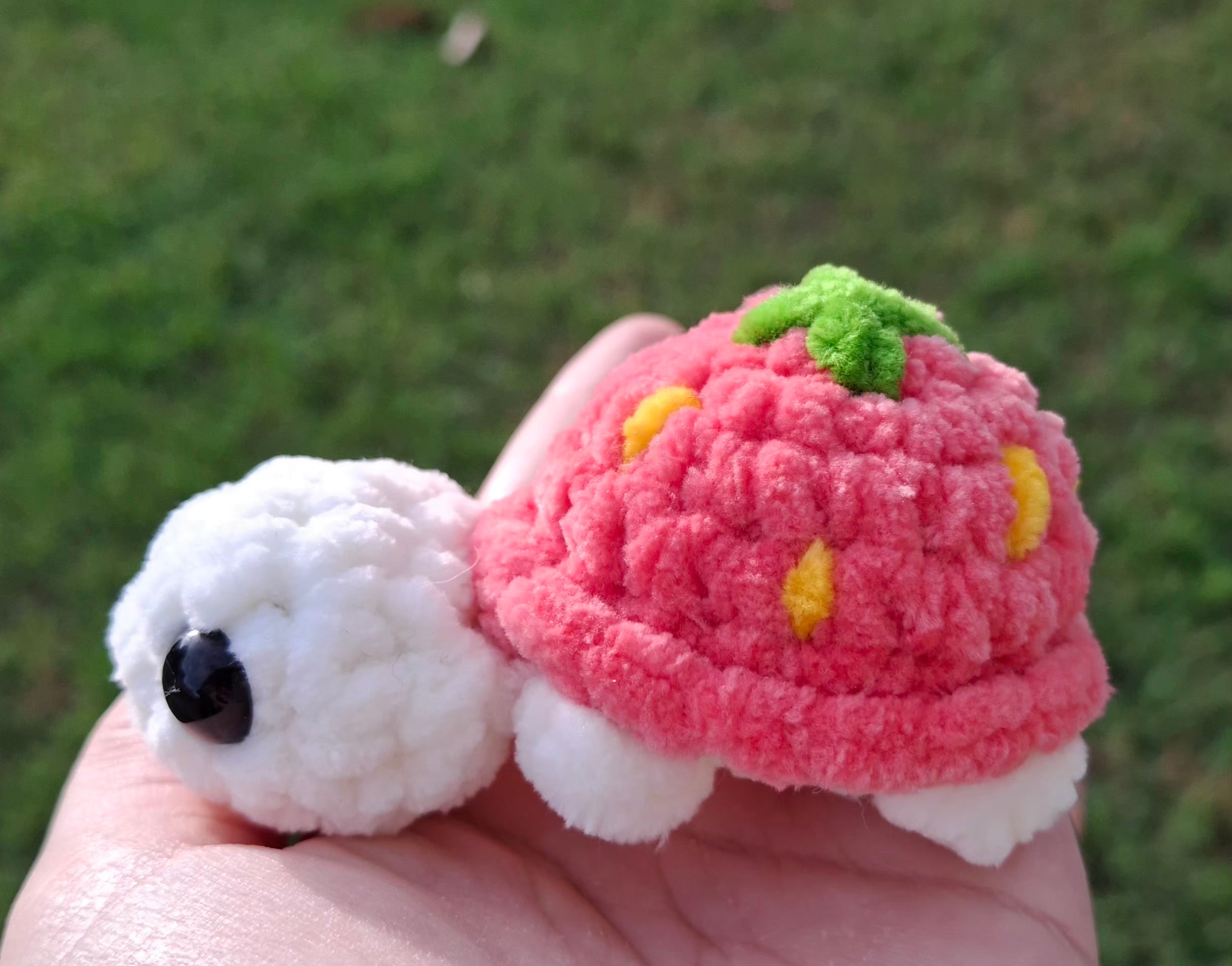 Strawberry Turtle