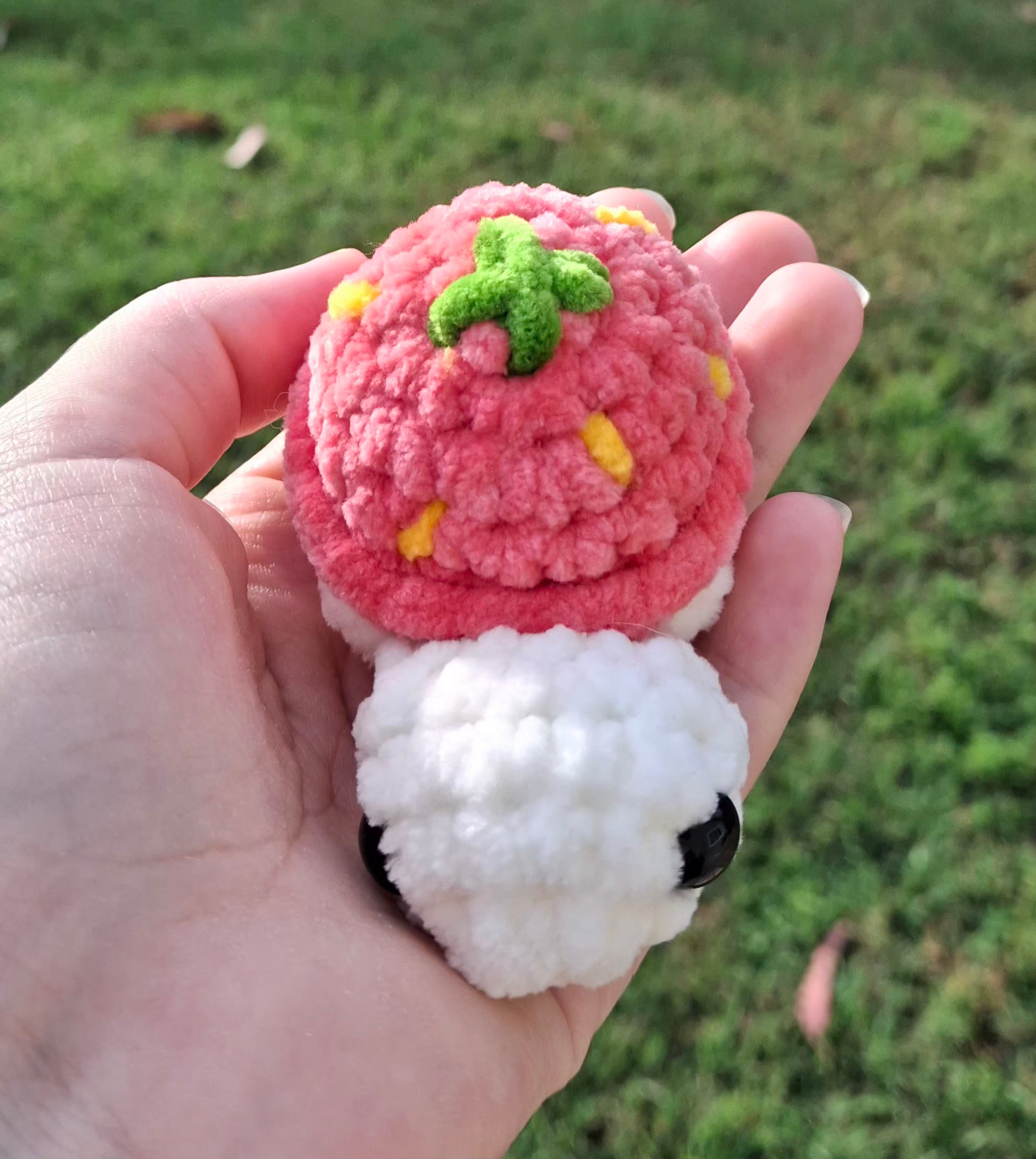 Strawberry Turtle
