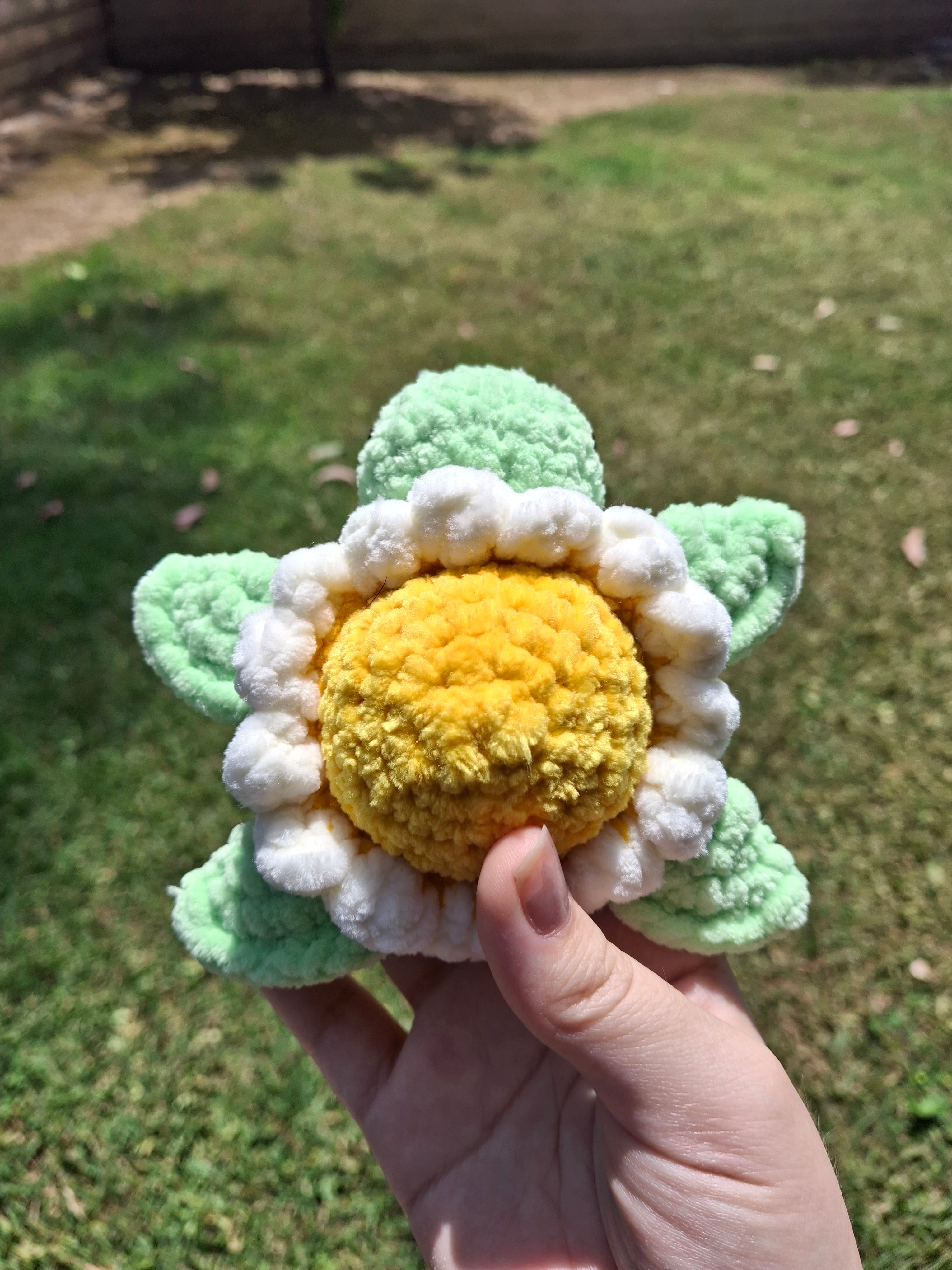 Daisy Turtle