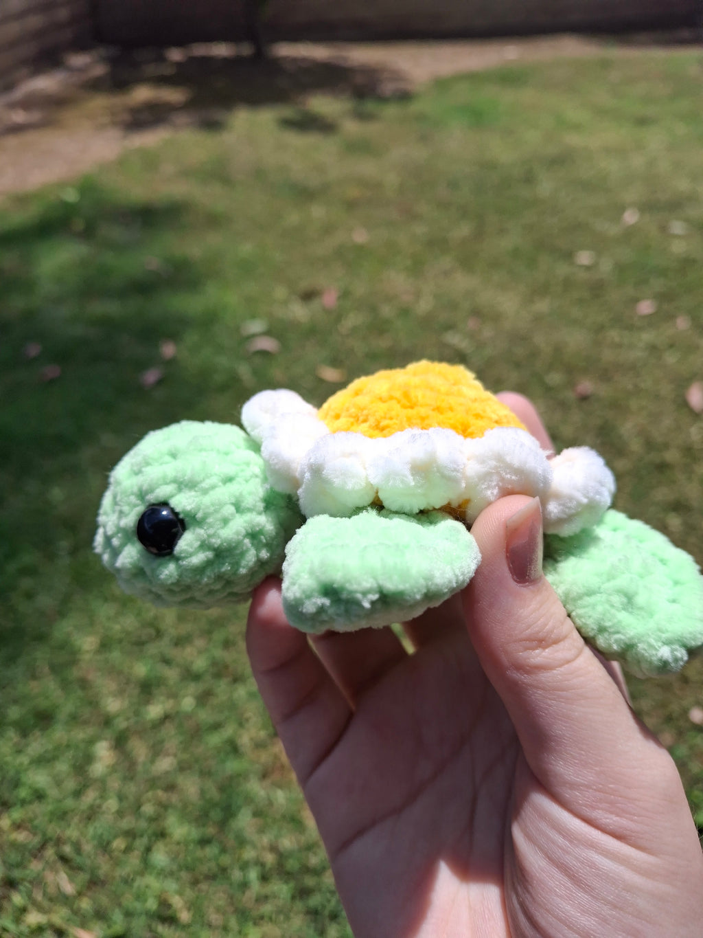 Daisy Turtle