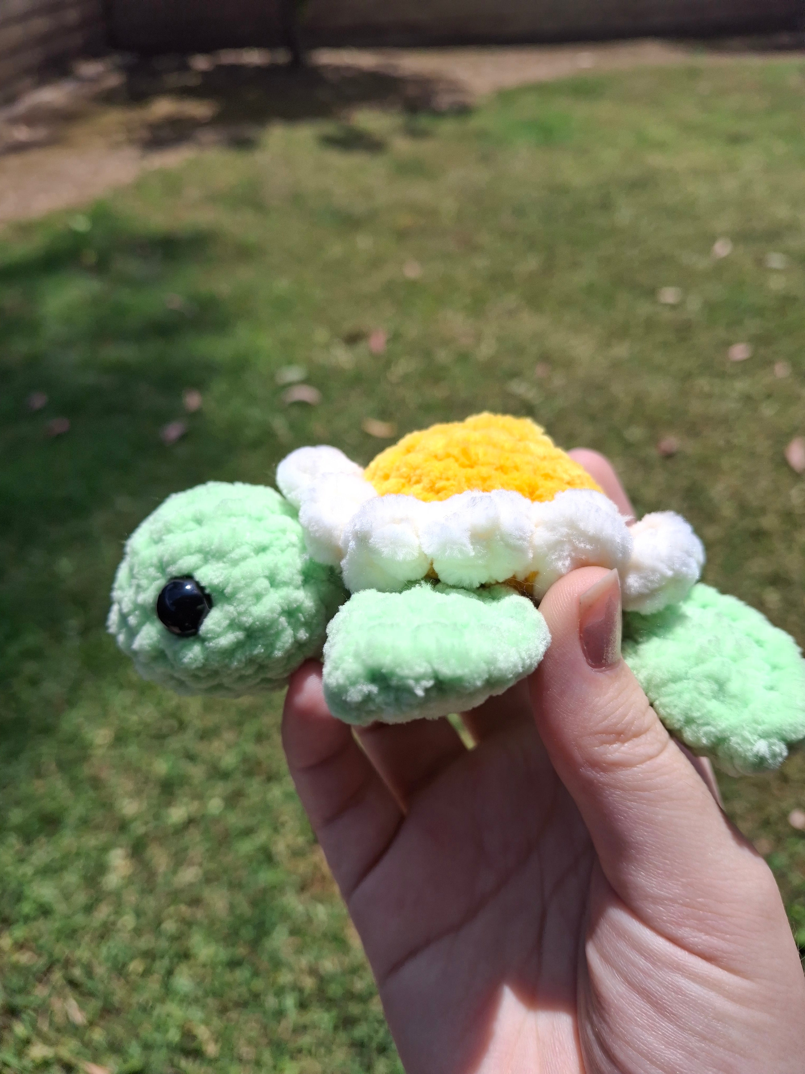 Daisy Turtle